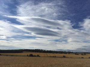 Some nice lenticular clouds